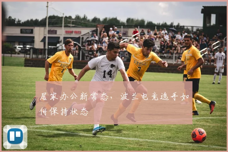 居家办公新常态,波兰电竞选手如何保持状态