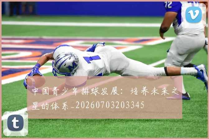 中国青少年排球发展：培养未来之星的体系_20260703203345