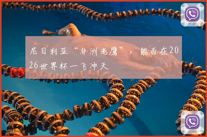 尼日利亚“非洲老鹰”，能否在2026世界杯一飞冲天